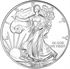 Picture of 1 oz Silver Eagle (Common Dates, Our Choice)